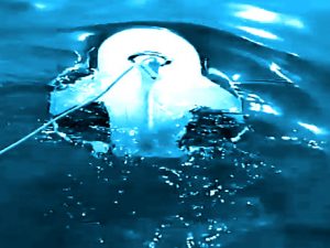 Unterwasserdrohne Powerray: "Ganze vier Stunden soll sie mit einer Akkuladung bis zu 30 Meter tief tauchen" Screenshot youtube.com