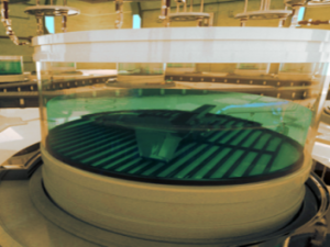 BAE Systems: „Vorteil von gezüchteten Drohnen“ Screenshot baesystems.com