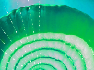 Screenshot vimeo.com