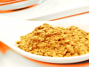 Screenshot siegelerde.de