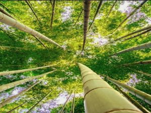 Die Nachhaltigkeit in der IT-Infrastruktur Screenshot youtube.com