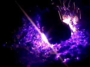 Screenshot youtube.com