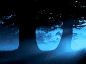 Spreewälder Sagennacht: "Musikspektakel zur Geschichte und den Bräuchen und Sagen der Sorben/Wenden" Screenshot twitter.com