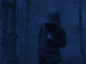 „Pan Dietrich oder der wilde Jäger in der Lausitz“ Screenshot vimeo.com