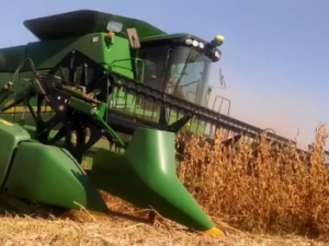 Screenshot youtube.com