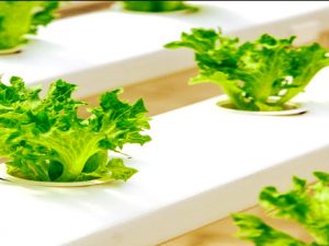 Screenshot twitter.com