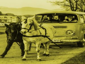 Was nach der Energiekrise kommt? Screenshot twitter.com