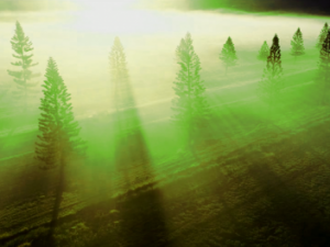 Screenshot vimeo.com