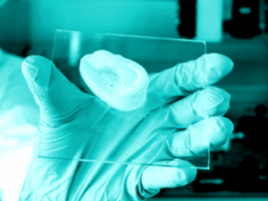 Empa: Das 3D-gedrockte Implantat was sich später auflöst und durch körpereigene Zellen ersetzt wird Screenshot empa.ch