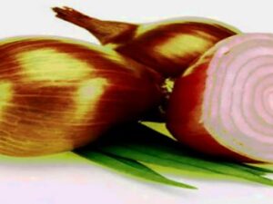 TorChat: „Wer Wert legt auf hohen Datenschutz beim Chatten“ Screenshot twitter.com