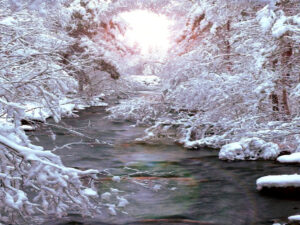 Lausitz im Winter – „Im Winter kann Camping viel Spaß machen“ Screenshot-twitter-com-jhkkkjhjkjhkjjhkj-1