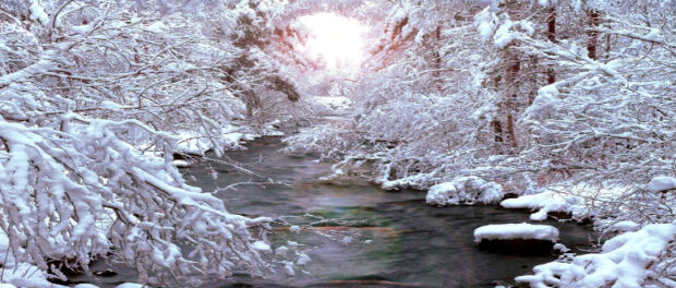 Screenshot-twitter-com-jhkkkjhjkjhkjjhkj-1