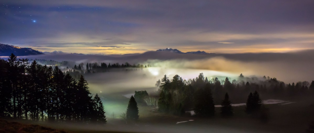 Screenshot-twitter-com2211-620x264-1