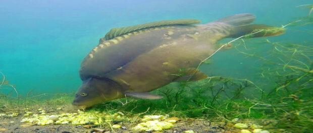 Screenshot-youtube-com-dfgjfdogifdiojfdiogjofig