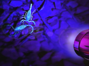 Screenshot-youtube-com-fdfdgfdg6ddgfgfg-620×264-1