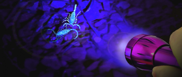 Screenshot-youtube-com-fdfdgfdg6ddgfgfg-620x264-1