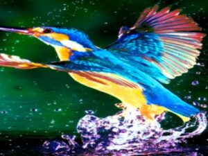 Screenshot-youtube-dsjsdfjk6fdsfdsfsdsdd8-620×264-1