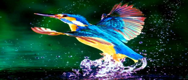 Screenshot-youtube-dsjsdfjk6fdsfdsfsdsdd8-620x264-1