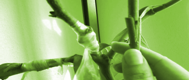 Screenshot-youtube-jjgghf7ggm3dfgfgh9-620x264-1