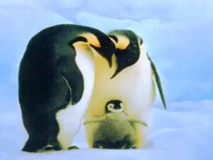 Betriebssystems Armbian plus Raspberry Pi: Für Neulinge als auch erfahrene Entwickler geeignet Screenshot-twitter-com-dfgdfgdfg12sdg-620×264-1