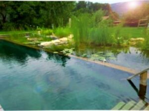 Screenshot-twitter-com-gfgh1dhd3-620×264-1-1