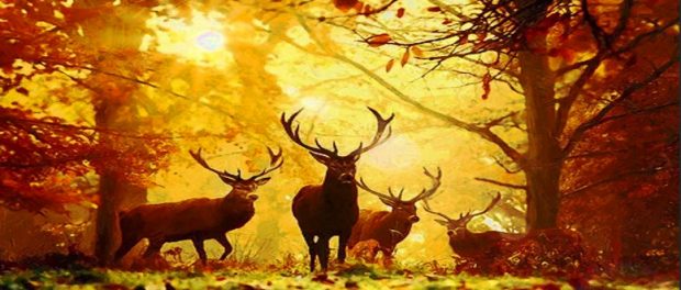 Screenshot-twitter-dsgdsjkf4343sdfsdgm1sdg4-620x264-1