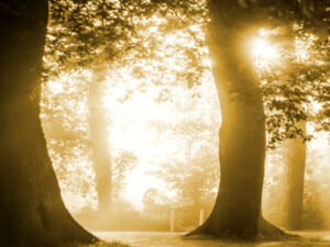 Screenshot-yandex.com3fdgfdh2