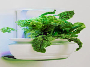 Screenshot-youtube-com-bosch-hhgdf