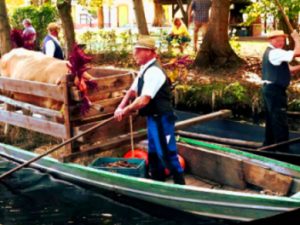 Sorbische Sprache: „Das ist der Schatz der Lausitz“ Screenshot-youtube-com-dfgfdgfdfgdfgfdgfdgfgfgcom2fgf8-620xlkjhf264-620×264-1