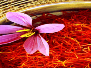 Screenshot-youtube-djkdjshkfdsjhdsfsdggg