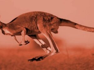 Screenshot-youtube-sdfjkdsf5555dsfdsfomvxcvxcvxc7-620×264-1