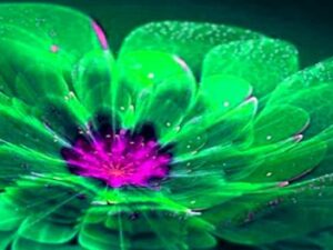 Screenshot-twitter-sdfsdf434sdfdsf1sg3-620×264-1