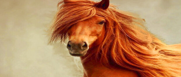 Screenshot-youtube-com-dfgfdfdgfgfgjhjn-1