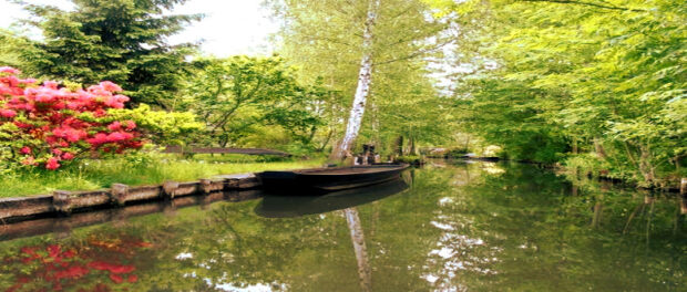 twitter-BuyreBrIYAAdfgdfgzJim