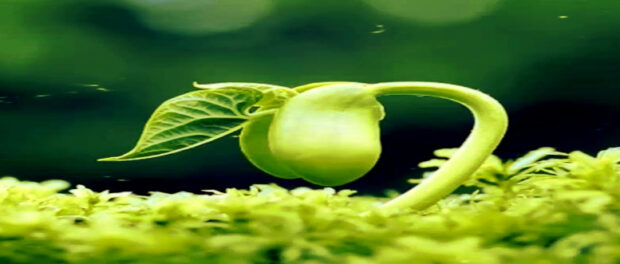 Screenshot-aSAASAdsdsaDFDFf-1