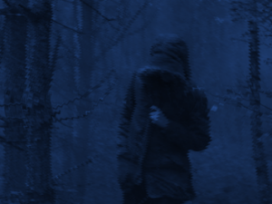 Screenshot vimeo.com