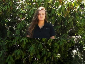 Quantum Stealth: Die Unsichtbarkeit von Objekten Screenshot-quantumstealth-com1_-620×264-1