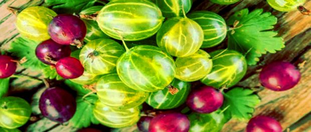 Screenshot-twitter-com-dfgfdgfdg1sdf-620x264-1