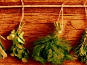 Screenshot-twitter-com-fdgfdgfdgdh1dfsv0-620×264-1