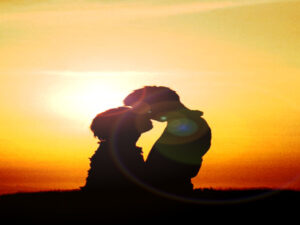 Screenshot-twitter-dfkfgfdgkfdkglkf