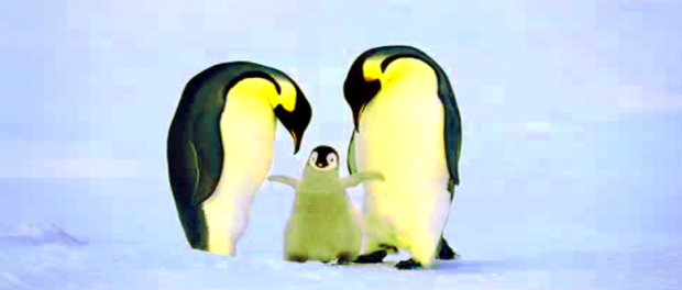 Screenshot-vimeo.com4cgm-620x264-1