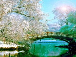 Screenshot-vimeo.comfddfdfdfdf1-620×264-1