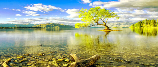 Screenshot-twitter-com-dffggdffdg-1