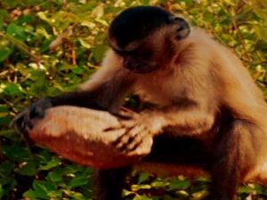 Screenshot-twitter-com-dfhdgh1dfg2-620×264-1