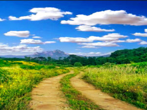 Lausitzer Bergland: Neueibauer Höhenweg als Wanderweg Screenshot twitter.com