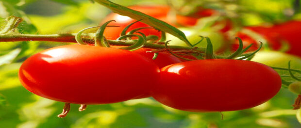 Screenshot-yandex.com28-1