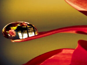 Screenshot-yandex.comsdfg1