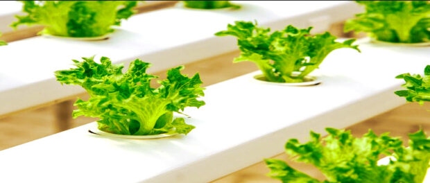 Screenshot youtube.com