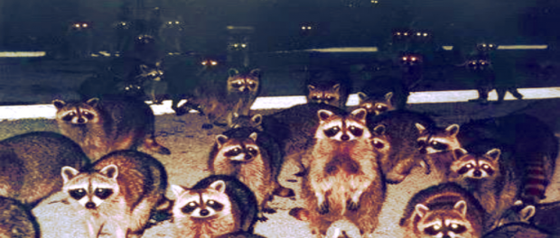 Screenshot youtube.com