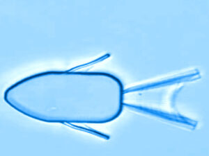 Screenshot-www.youtube-fdfdsfddgfssdggsdfgd